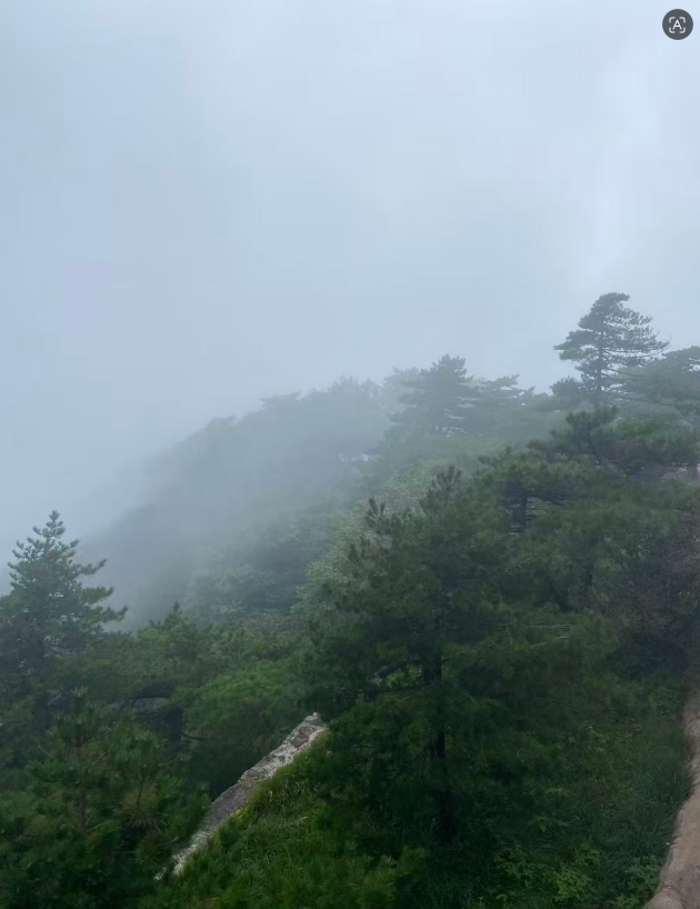 登临黄山24.png