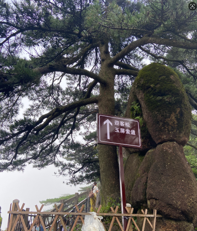 登临黄山13.png